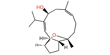 Sarcophyolide B